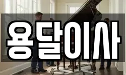 용달이사