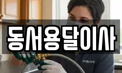 동서용달이사