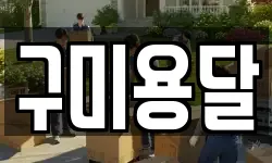 구미용달