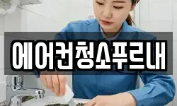 에어컨청소푸르내