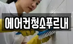 에어컨청소푸르내