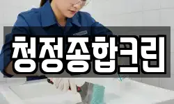 청정종합크린