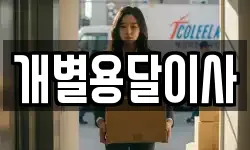 개별용달이사
