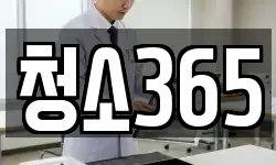 청소365