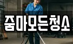 줌마모든청소