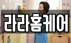 라라홈케어