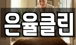 은율클린