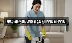 자동차 에어컨청소 냄새제거 출장 실내크리닝 에바크리닝