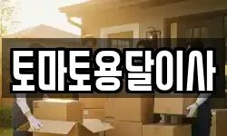 토마토용달이사