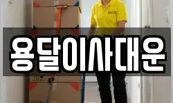 용달이사대운