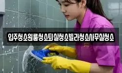 입주청소원룸청소퇴실청소빌라청소사무실청소