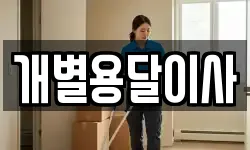 개별용달이사
