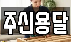 경북 구미시 임은동 이사,용달이사,포장이사,원룸이사,보관이사
