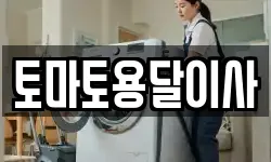 토마토용달이사