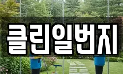 클린일번지