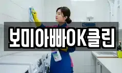 보미아빠OK클린
