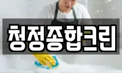 청정종합크린