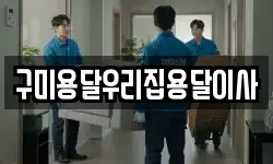 구미용달우리집용달이사
