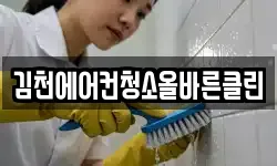 김천에어컨청소올바른클린