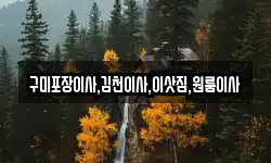 구미포장이사,김천이사,이삿짐,원룸이사