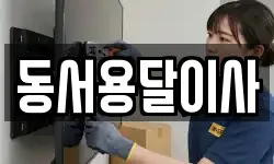 동서용달이사
