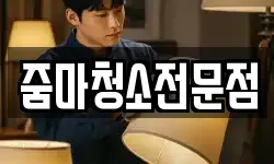줌마청소전문점