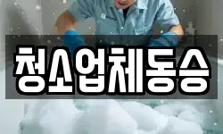 청소업체동승