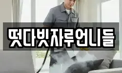 떳다빗자루언니들