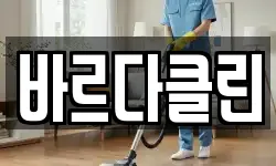 바르다클린