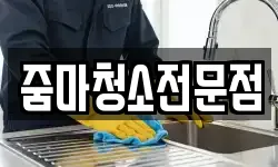 줌마청소전문점