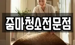 줌마청소전문점