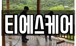티에스케어
