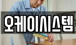 오케이시스템