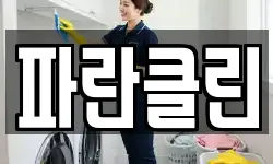 파란클린