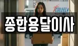 종합용달이사