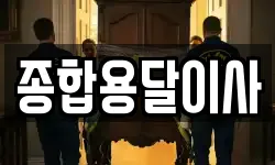 종합용달이사