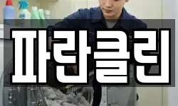 파란클린