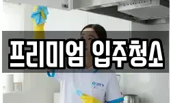 프리미엄 입주청소