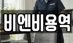 비엔비용역