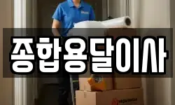 종합용달이사