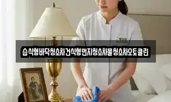 습식형바닥청소차건식형먼지청소차물청소차오토클린