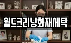 월드크리닝화재세탁