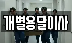 개별용달이사