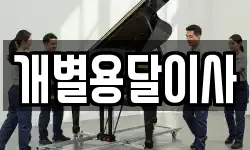 개별용달이사