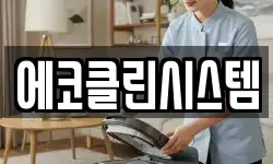 에코클린시스템