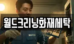 월드크리닝화재세탁