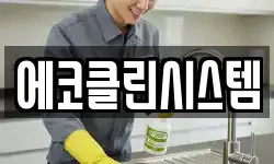 에코클린시스템