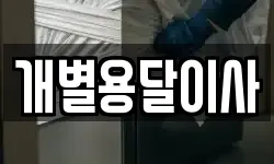 개별용달이사