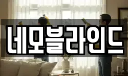 네모블라인드
