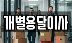 개별용달이사